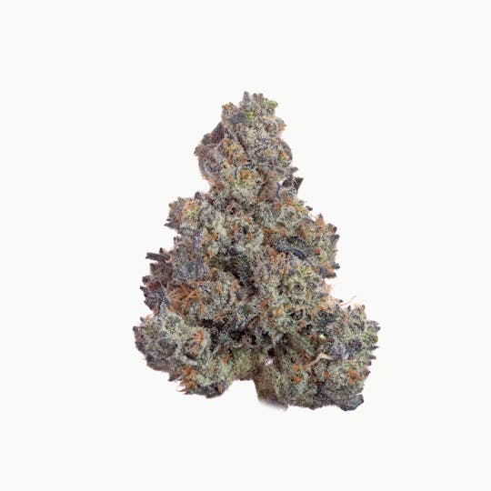 East Coast Cannabis - Banorange - 1