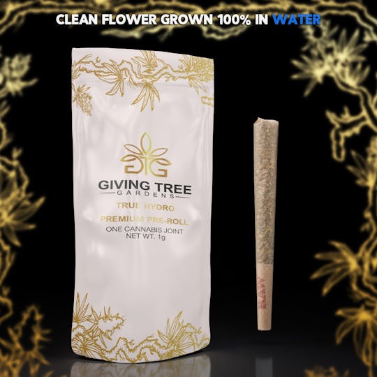 Giving Tree Gardens - Purple Envy - 1g Pre-Roll - 1