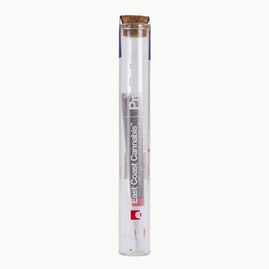 East Coast Cannabis - Strawberry Guava Pre-Roll - 0.5g - 1