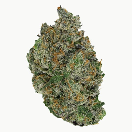Green Truck - Green Truck - Truck Club Ounce: Ricky Bobby - 1
