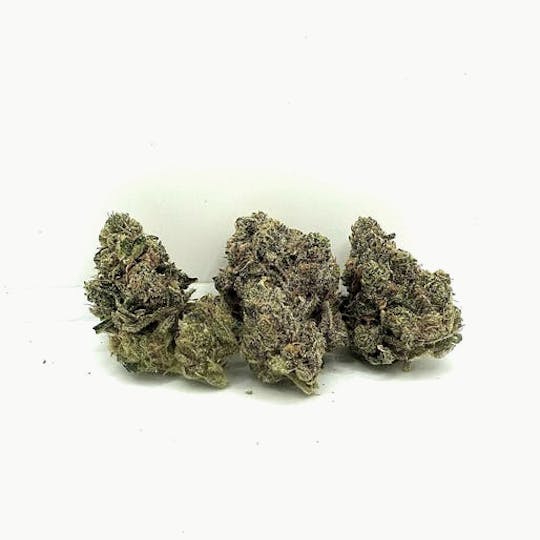 Coastal Remedies - Ice Cream Candy (Silver Tier Flower) | Coastal Remedies - 1