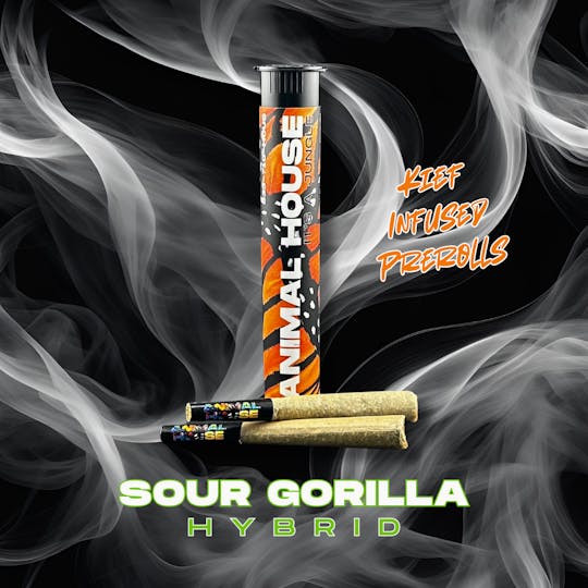 Animal House - Sour Gorilla | Kief Infused Preroll | 2pk x 0.75g (1.5g) - 1