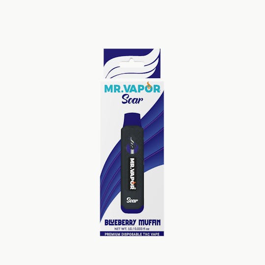 Mr. Vapor Soar - Mr. Vapor Soar - 1g Disposable - Blueberry Muffin - 1