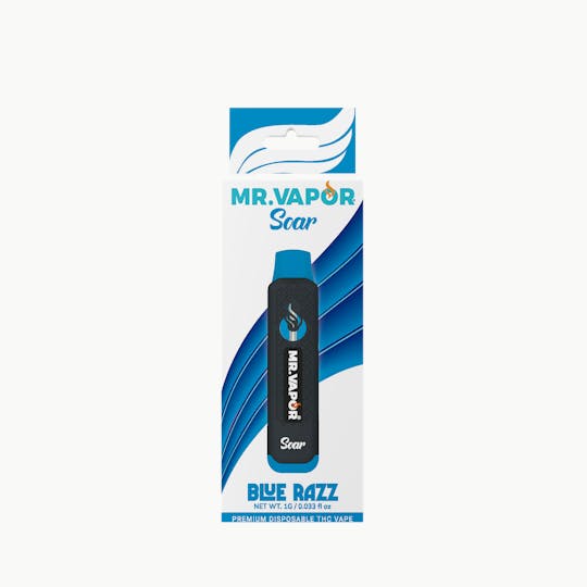 Mr. Vapor Soar - Mr. Vapor Soar - 1g Disposable - Blue Razz - 1