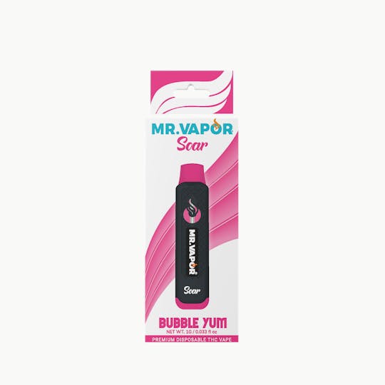 Mr. Vapor Soar - Mr. Vapor Soar - 1g Disposable - Bubble Yum - 1