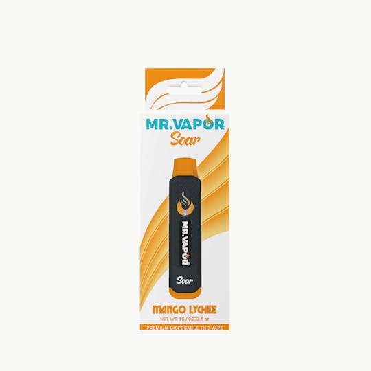 Mr. Vapor Soar - Mr. Vapor Soar - 1g Disposable - Mango Lychee - 1