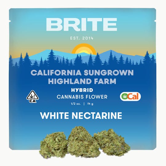Brite Labs - BRITE Highland OCal Sun-Grown Flower (14g) - Hybrid - Nectarine Jelly - 1