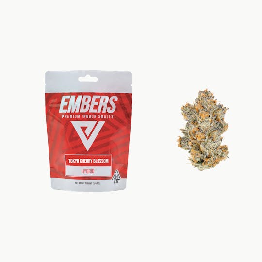 Ember Valley - Tokyo Cherry Blossom 7G - 1
