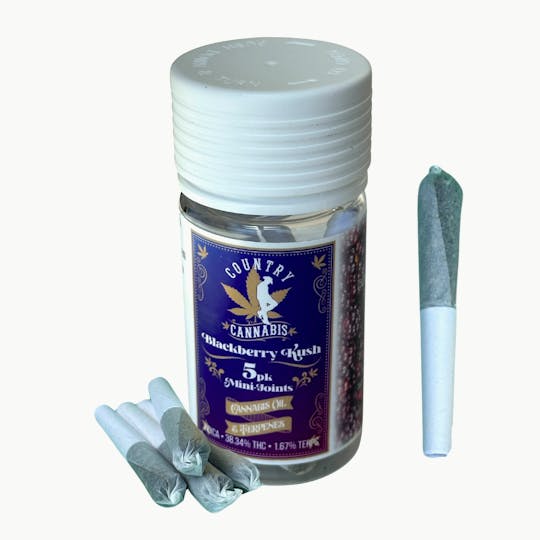 Country Cannabis - Blackberry Kush | Mini Infused Pre-Roll | 2G | 5pk - 1