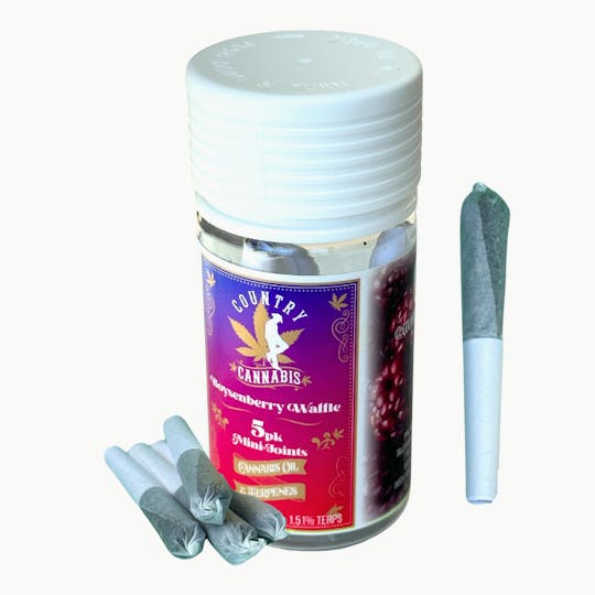 Country Cannabis - Boysenberry Waffle | Mini Infused Pre-Roll | 2G | 5pk - 1