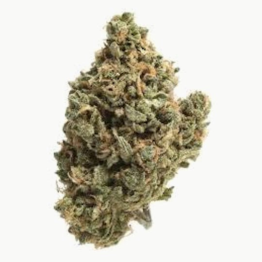 Cannafeen - JUST JACK - 1