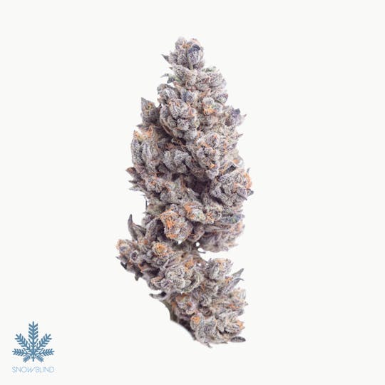 Snowblind Cannabis - Georgia Apple Pie - 1