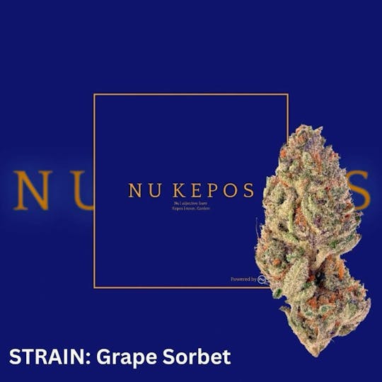 Nu Cannabis Brand - Kepos - Grape Sorbet 14g - PREMIUM FLOWERS - 1