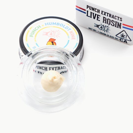 Punch Edibles & Extracts - Blumosa Tier 1 Live Rosin Cold Cure Badder (1g) - 1