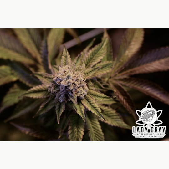 Lady Gray Gourmet Medibles - Lady Gray - Flower - Wedding Cake - 1