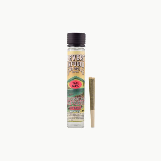 Revert - Tropical Temptation .7g Infused Preroll - 1