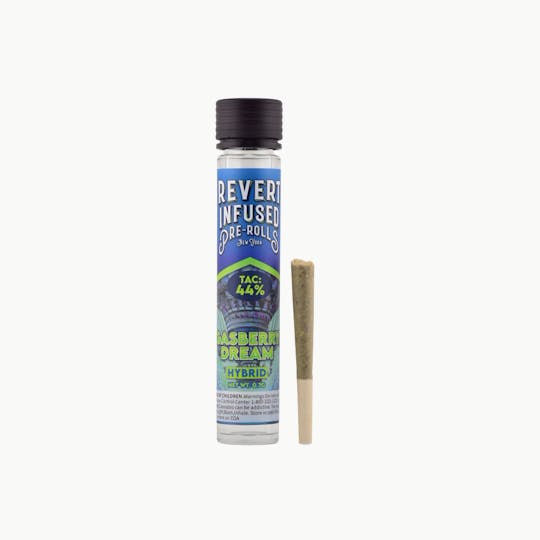 Revert - Gasberry Dream .7g Infused Preroll - 1