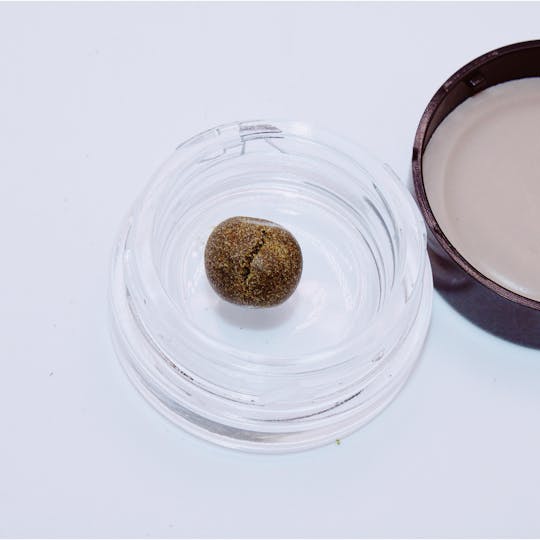 Trusty Transportations - Vanilla Kush Temple Ball/1 Gram(75%THC, Indica) - 1