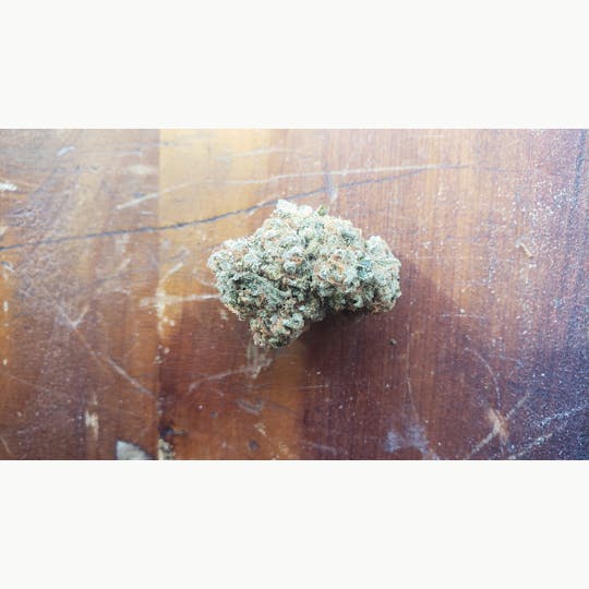 Jandy Organics - Chocolate Pie - 1