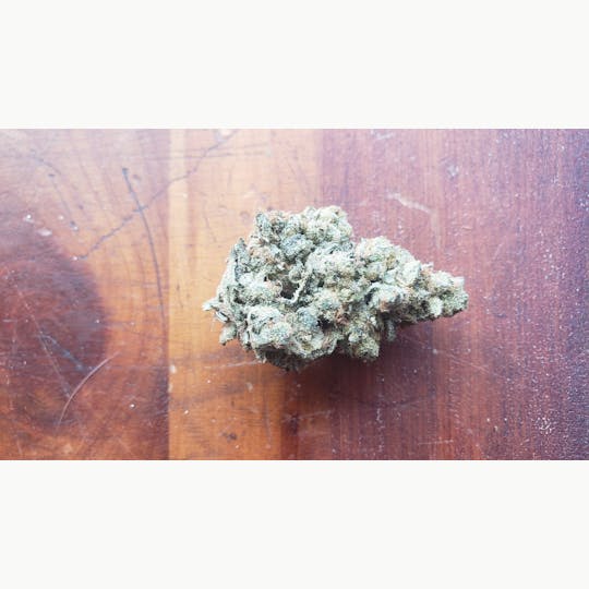 Jandy Organics - Frostette - 1