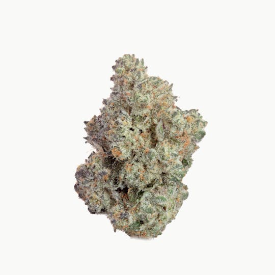 East Coast Cannabis - Grease Monkey - 1