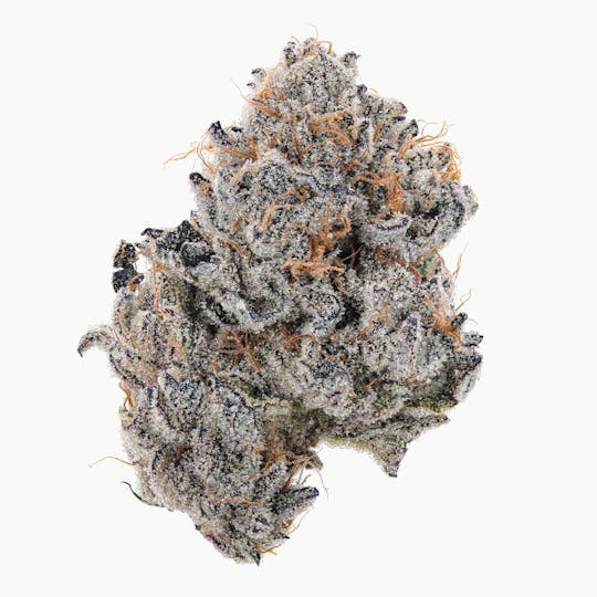 East Coast Cannabis - Pure Nubble - 1