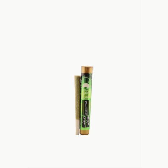 Revert - Golden Gardens Bananaconda Preroll 1g - 1