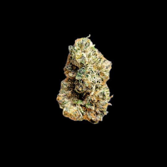 Auraz - Caleta Flower | Twerk Quake - 1