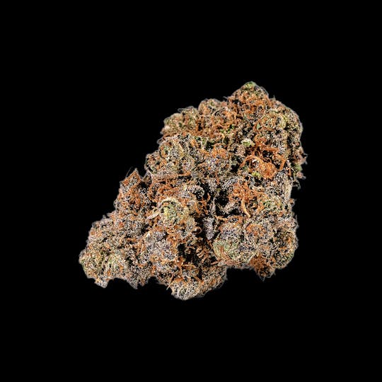 Auraz - Caleta Flower | Sherbet Cake - 1