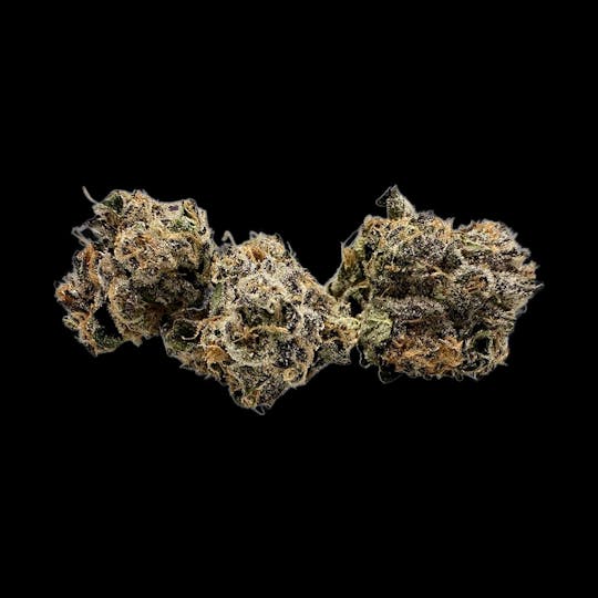 Auraz - Caleta Flower | Eternity - 1