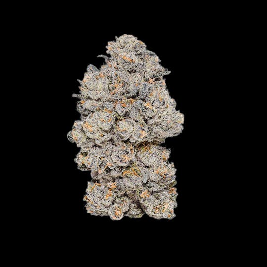 Auraz - Premium Flower | Jokerz - 1