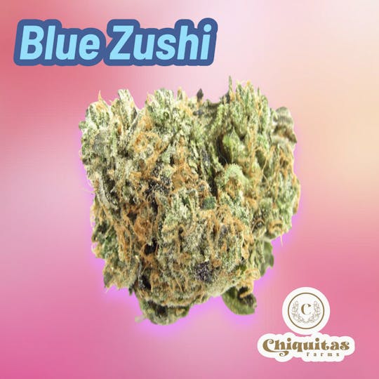 Chiquitas Farms - Blue Zuchi - 1