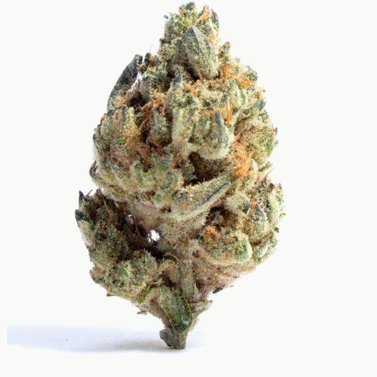 Allure - Candy Splash | Indoor Hybrid | 37.23% THC - 1