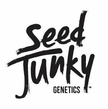 Seed Junky - PURPLE PUSH POP SMALLS - 14g - 1