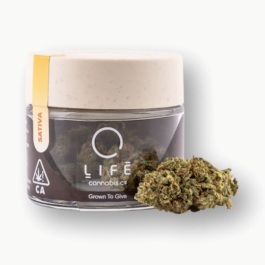 Life Cannabis Co - Free Spirit Haze | 3.5g - 1