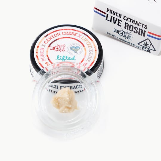 Punch Edibles & Extracts - Egyptian Hashburger Tier 4 Live Rosin Cold Cure Badder (1g) - 1