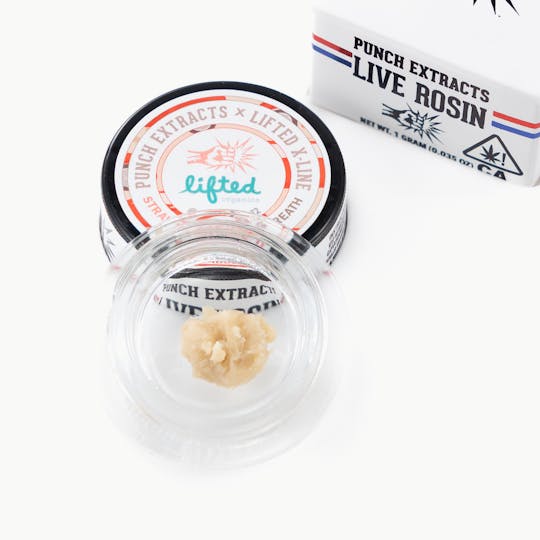 Punch Edibles & Extracts - Strawberry Motorbreath Tier 4 Live Rosin Cold Cure Badder (1g) - 1
