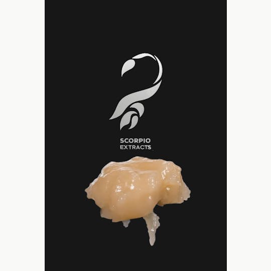 Royal Kush Farms - Scorpio Extracts - Golden Hour OG Live Resin Badder 1g - 1