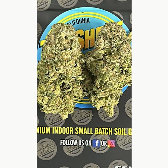 Top Shelf Express - Rainbow Belts Premium Eighth (3.5g)****NEW LOWER PRICE** - 1