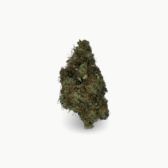 Indico - G Chem - Indico - 1