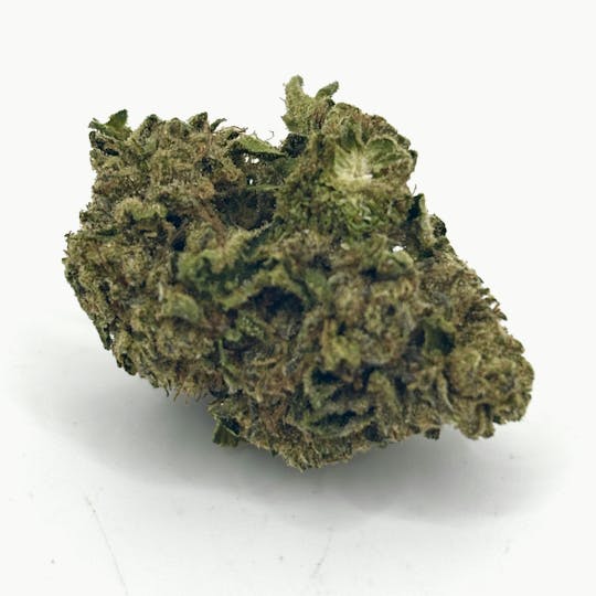 Coastal Remedies - Fire AF | Value Tier Flower | Coastal Remedies - 1