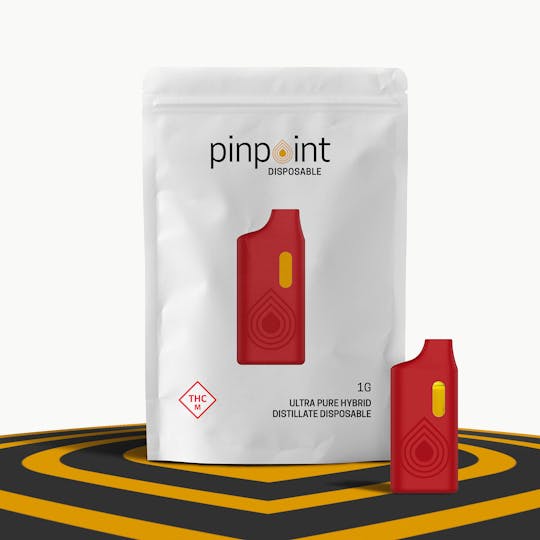 Pinpoint Extracts - Pinpoint Extracts Sunny DDD Disposable - 1