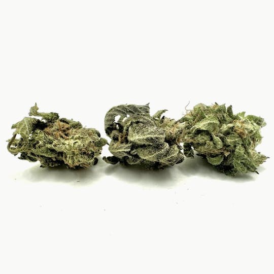 Coastal Remedies - Sundae Driver | Smalls Flower | Coastal Remedies - 1