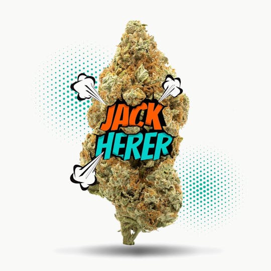 Frostiez - Jack Herer - NEW DROP - PREMIUM FLOWER - Sativa - 1