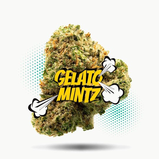 Frostiez - Gelato Mintz - NEW DROP - PREMIUM FLOWER - Hybrid - 1