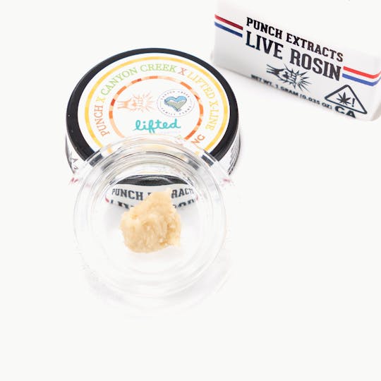 Punch Edibles & Extracts - Pineapple Thang Tier 4 Live Rosin Cold Cure Badder (1g) - 1