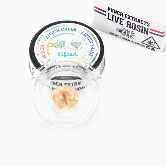 Punch Edibles & Extracts - Tropical Fatso Tier 4 Live Rosin Cold Cure Badder (1g) - 1