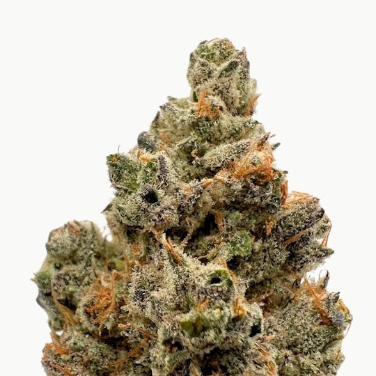 Baked Chicken Farm - BCF - Apple Gushers Flower - 1