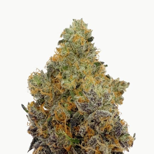 Baked Chicken Farm - BCF - Berry Blast Flower - 1