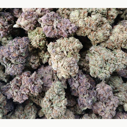 LA Native - Gooey Cake - Mixed Light - 1